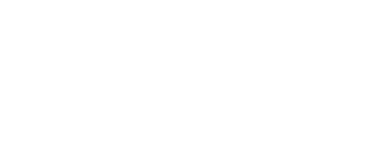 blended finance logo-03