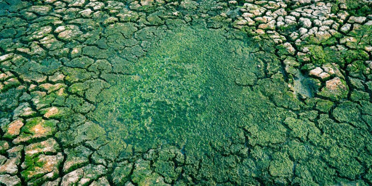 Persistent data gaps pose hurdles for banks’ climate strategies
