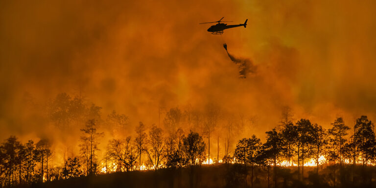 Climate pragmatism in a fragmented world