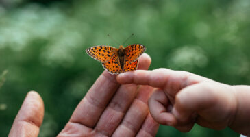 No net zero without nature-positive outcomes