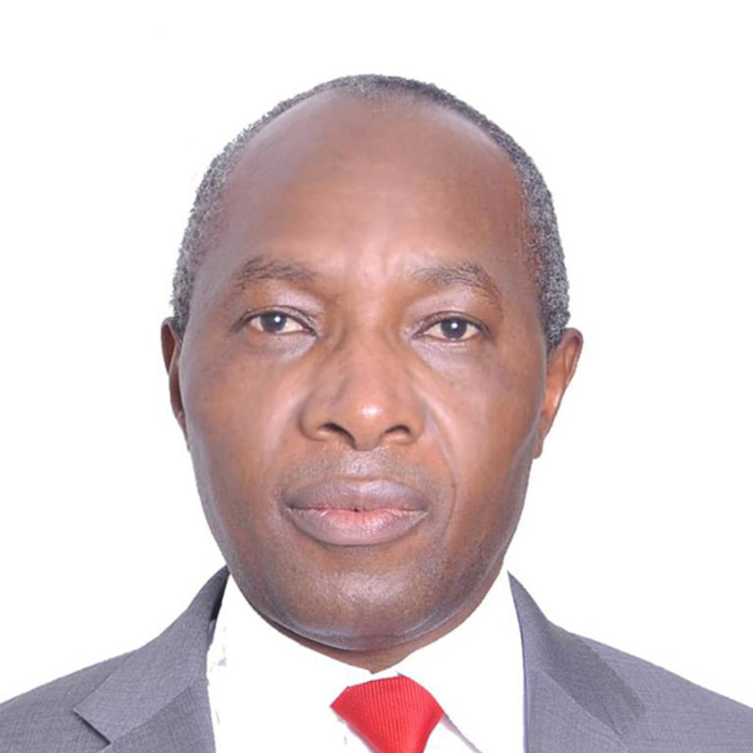 Stephen Karingi