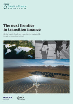 OMFIF Transition Finance WG report 2025 cover