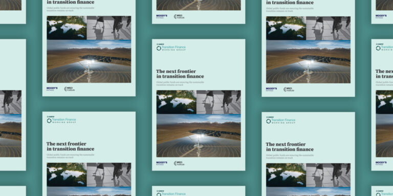 Transition Finance Working Group report launch 2025