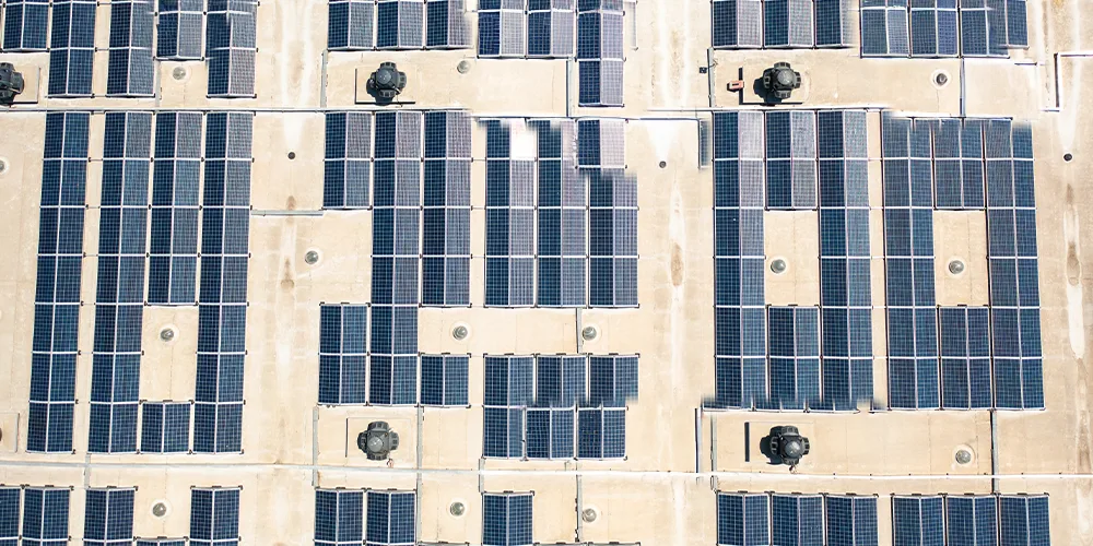 net zero misalignment