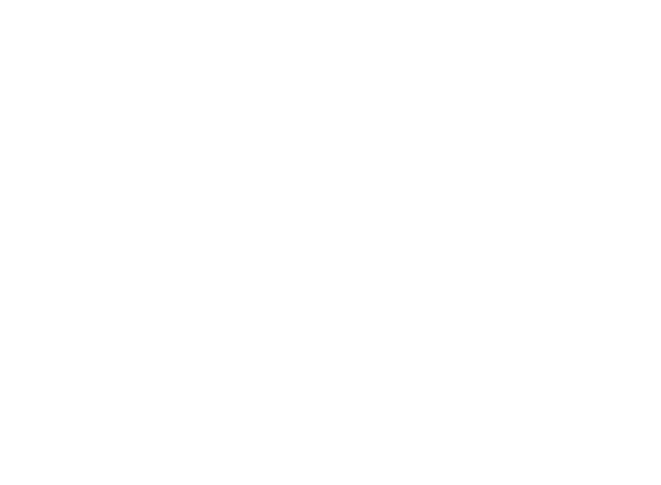 dms-2027