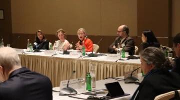 Panel discussion at COP29 in Baku