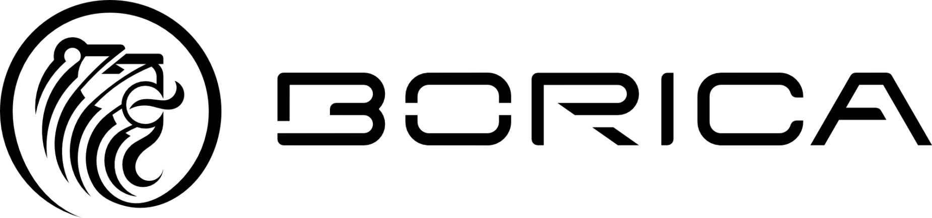 borica-logo_eng_horisontal_black