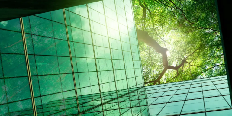 Mainstreaming, disclosing and mobilising nature finance