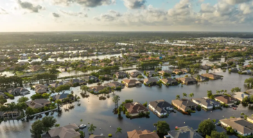 Insurance: a catalyst for financial resilience