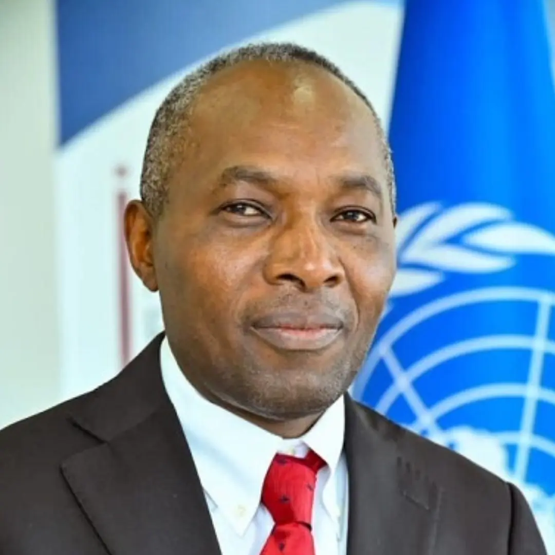 stephen-karingi