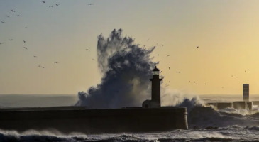 Annual meetings 2026: Storms lurk behind resilience