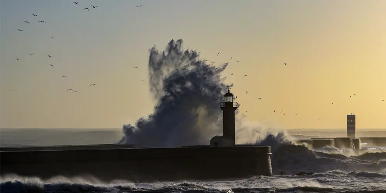 Annual meetings 2026: Storms lurk behind resilience